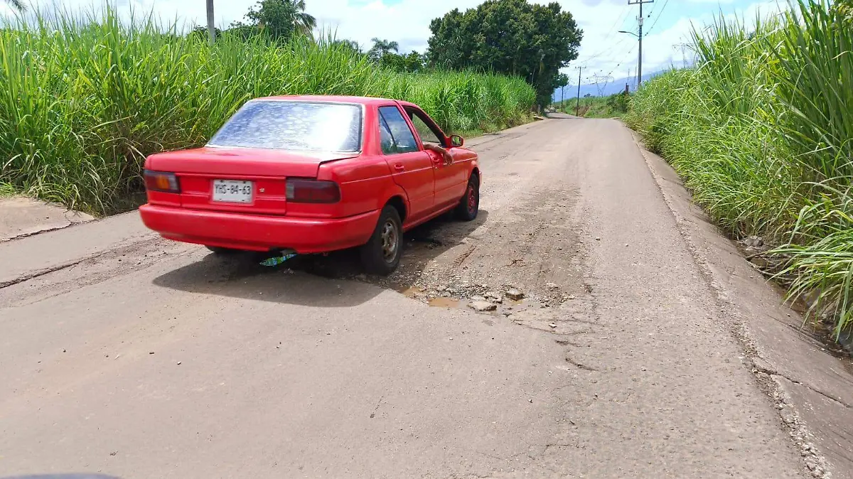 bacheo 2